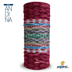 Andina