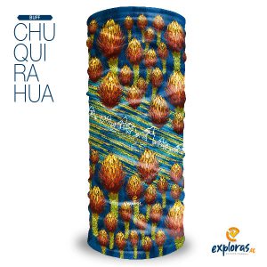 Chuquirahua