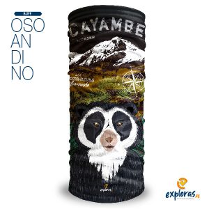 Oso Anteojos