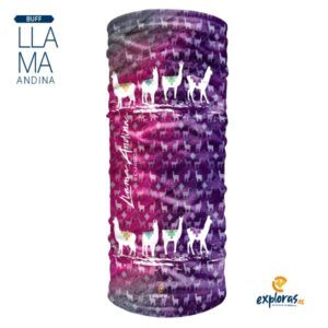 Llama Andina