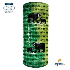 Oso Andino