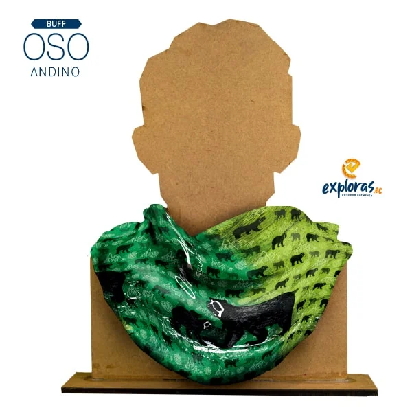 Oso andino - Image 2